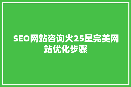 SEO网站咨询火25星完美网站优化步骤