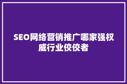 SEO网络营销推广哪家强权威行业佼佼者  第1张