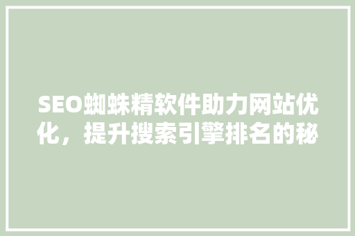 SEO蜘蛛精软件助力网站优化，提升搜索引擎排名的秘密武器