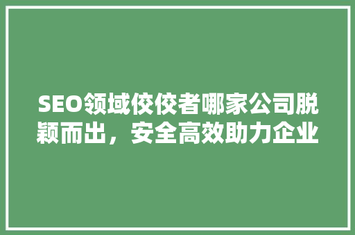 SEO领域佼佼者哪家公司脱颖而出，安全高效助力企业腾飞