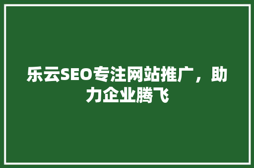 乐云SEO专注网站推广，助力企业腾飞