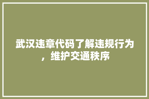 武汉违章代码了解违规行为，维护交通秩序  第1张