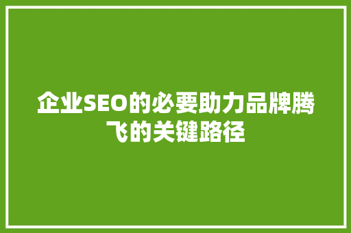 企业SEO的必要助力品牌腾飞的关键路径