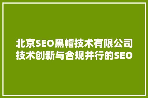 北京SEO黑帽技术有限公司技术创新与合规并行的SEO之路