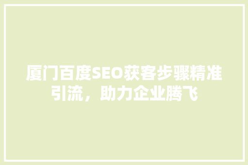 厦门百度SEO获客步骤精准引流，助力企业腾飞