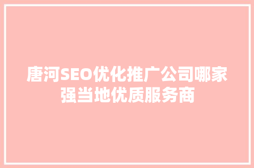 唐河SEO优化推广公司哪家强当地优质服务商  第1张