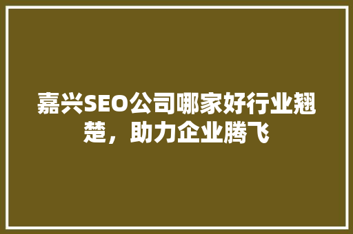 嘉兴SEO公司哪家好行业翘楚，助力企业腾飞