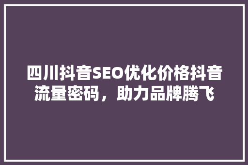 四川抖音SEO优化价格抖音流量密码，助力品牌腾飞