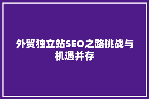 外贸独立站SEO之路挑战与机遇并存