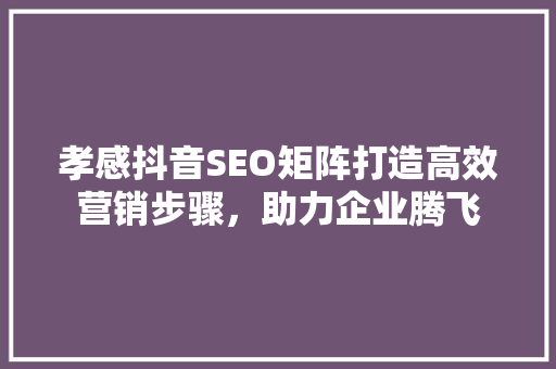 孝感抖音SEO矩阵打造高效营销步骤，助力企业腾飞