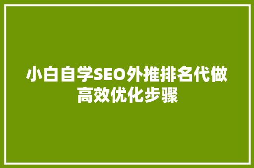 小白自学SEO外推排名代做高效优化步骤