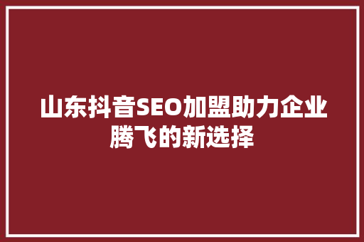 山东抖音SEO加盟助力企业腾飞的新选择