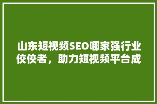 山东短视频SEO哪家强行业佼佼者，助力短视频平台成功起飞