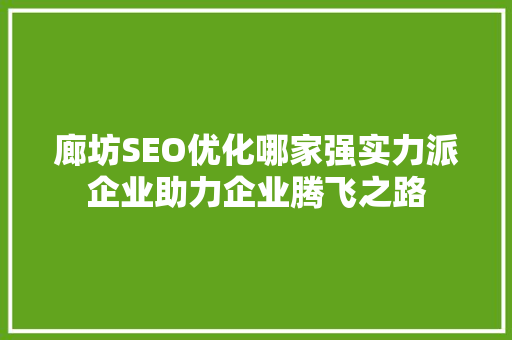 廊坊SEO优化哪家强实力派企业助力企业腾飞之路