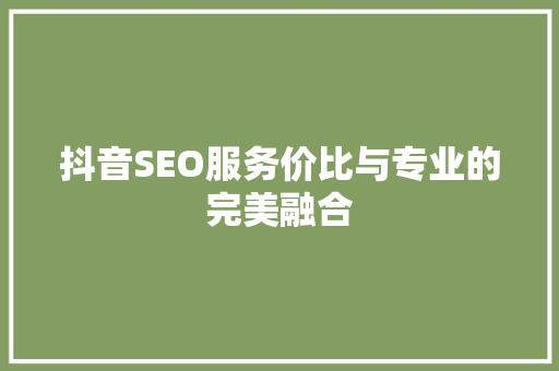 抖音SEO服务价比与专业的完美融合