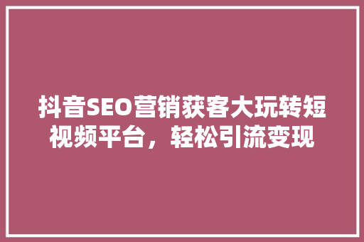 抖音SEO营销获客大玩转短视频平台，轻松引流变现  第1张