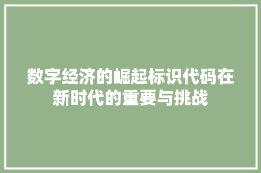 数字经济的崛起标识代码在新时代的重要与挑战