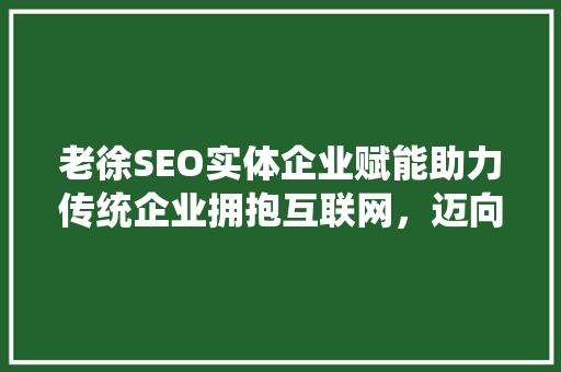 老徐SEO实体企业赋能助力传统企业拥抱互联网，迈向数字化未来