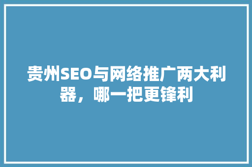贵州SEO与网络推广两大利器，哪一把更锋利