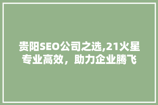 贵阳SEO公司之选,21火星专业高效，助力企业腾飞