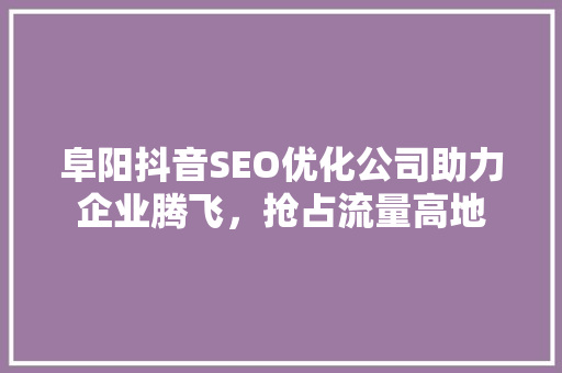 阜阳抖音SEO优化公司助力企业腾飞，抢占流量高地