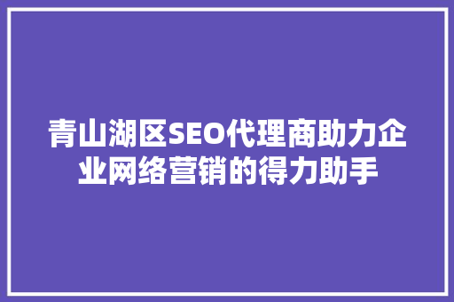 青山湖区SEO代理商助力企业网络营销的得力助手  第1张
