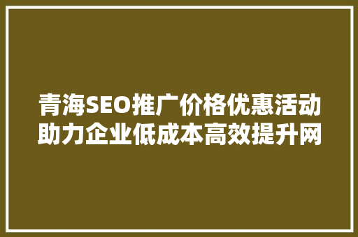 青海SEO推广价格优惠活动助力企业低成本高效提升网络曝光度  第1张
