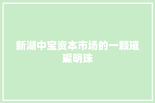 新湖中宝资本市场的一颗璀璨明珠