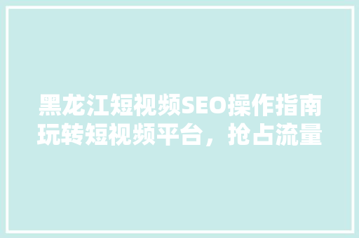 黑龙江短视频SEO操作指南玩转短视频平台，抢占流量高地