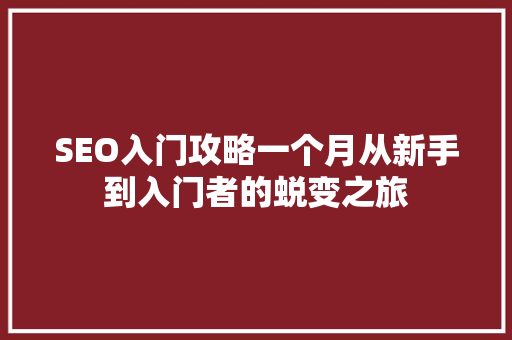 SEO入门攻略一个月从新手到入门者的蜕变之旅  第1张