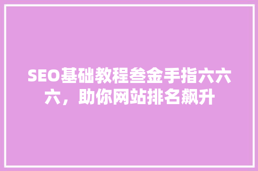 SEO基础教程叁金手指六六六，助你网站排名飙升