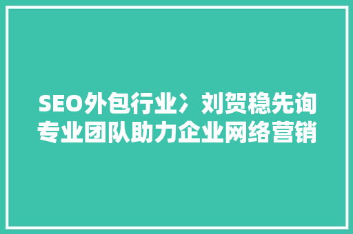 SEO外包行业冫刘贺稳先询专业团队助力企业网络营销之路