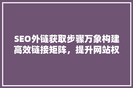 SEO外链获取步骤万象构建高效链接矩阵，提升网站权重与流量