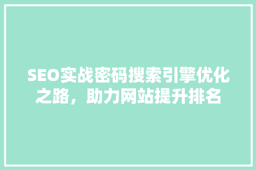 SEO实战密码搜索引擎优化之路，助力网站提升排名