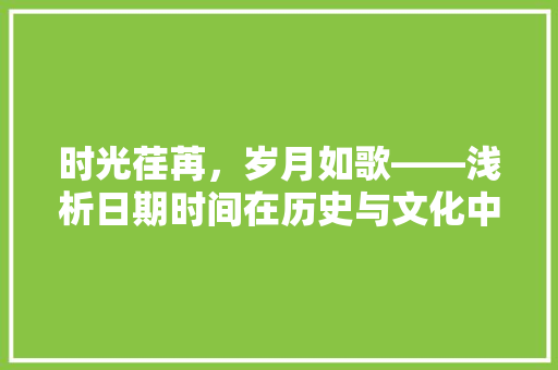 时光荏苒，岁月如歌——浅析日期时间在历史与文化中的独特地位