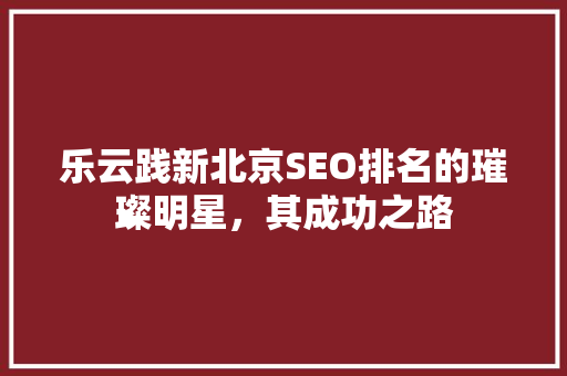 乐云践新北京SEO排名的璀璨明星，其成功之路