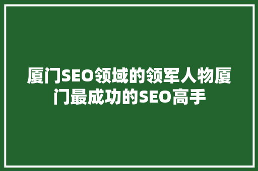 厦门SEO领域的领军人物厦门最成功的SEO高手