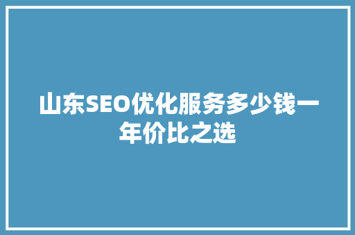 山东SEO优化服务多少钱一年价比之选