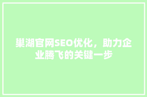 巢湖官网SEO优化，助力企业腾飞的关键一步