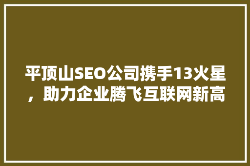 平顶山SEO公司携手13火星，助力企业腾飞互联网新高峰