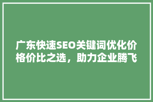 广东快速SEO关键词优化价格价比之选，助力企业腾飞