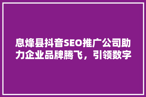 息烽县抖音SEO推广公司助力企业品牌腾飞，引领数字营销新潮流  第1张