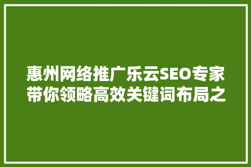 惠州网络推广乐云SEO专家带你领略高效关键词布局之路