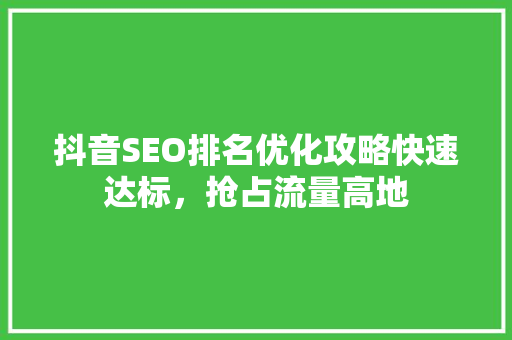 抖音SEO排名优化攻略快速达标，抢占流量高地