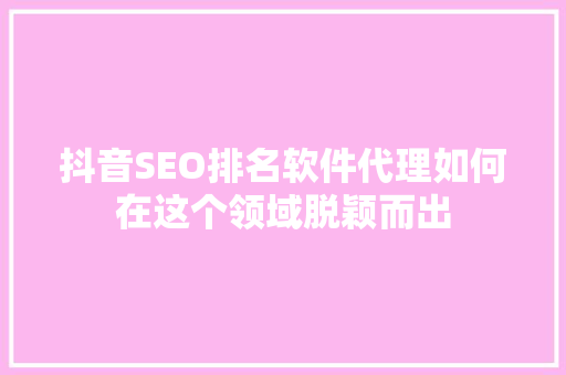 抖音SEO排名软件代理如何在这个领域脱颖而出