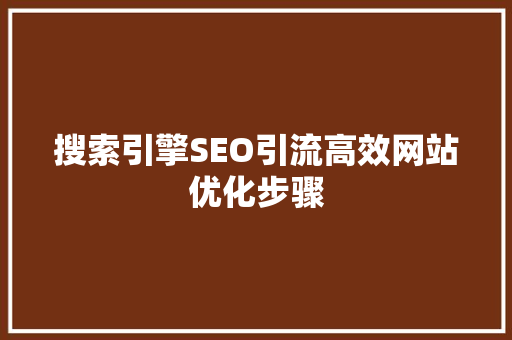 搜索引擎SEO引流高效网站优化步骤