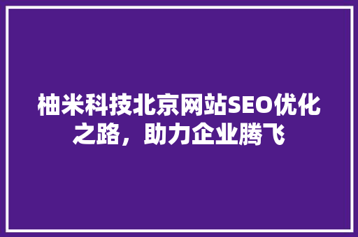 柚米科技北京网站SEO优化之路，助力企业腾飞  第1张