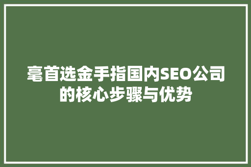 毫首选金手指国内SEO公司的核心步骤与优势