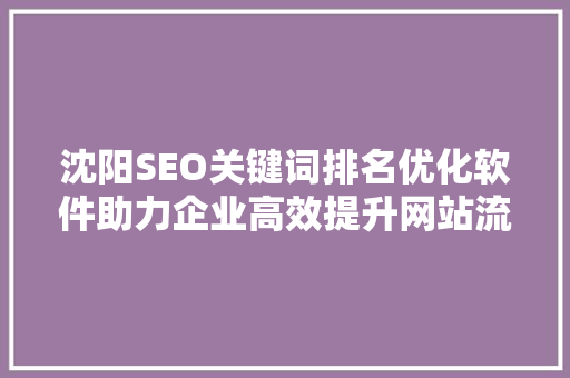 沈阳SEO关键词排名优化软件助力企业高效提升网站流量与转化率