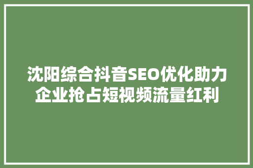 沈阳综合抖音SEO优化助力企业抢占短视频流量红利